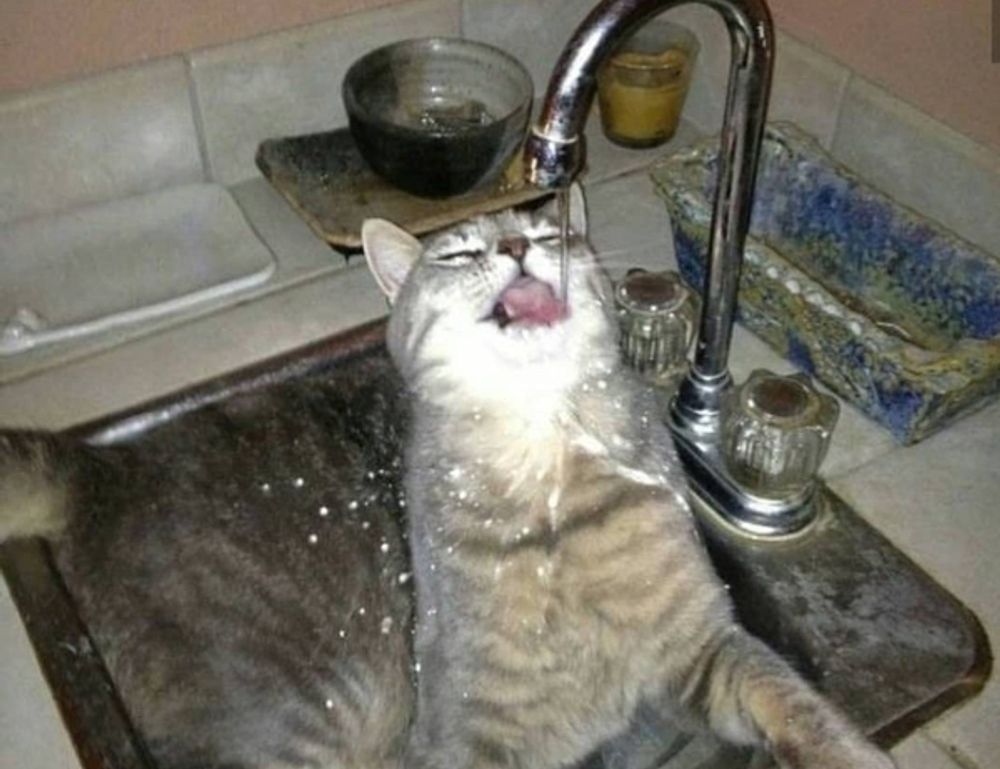 creator game playonit55