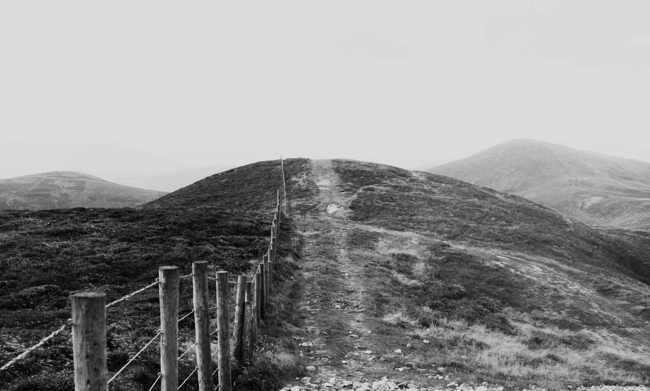 how to cure cotaldihydo disease