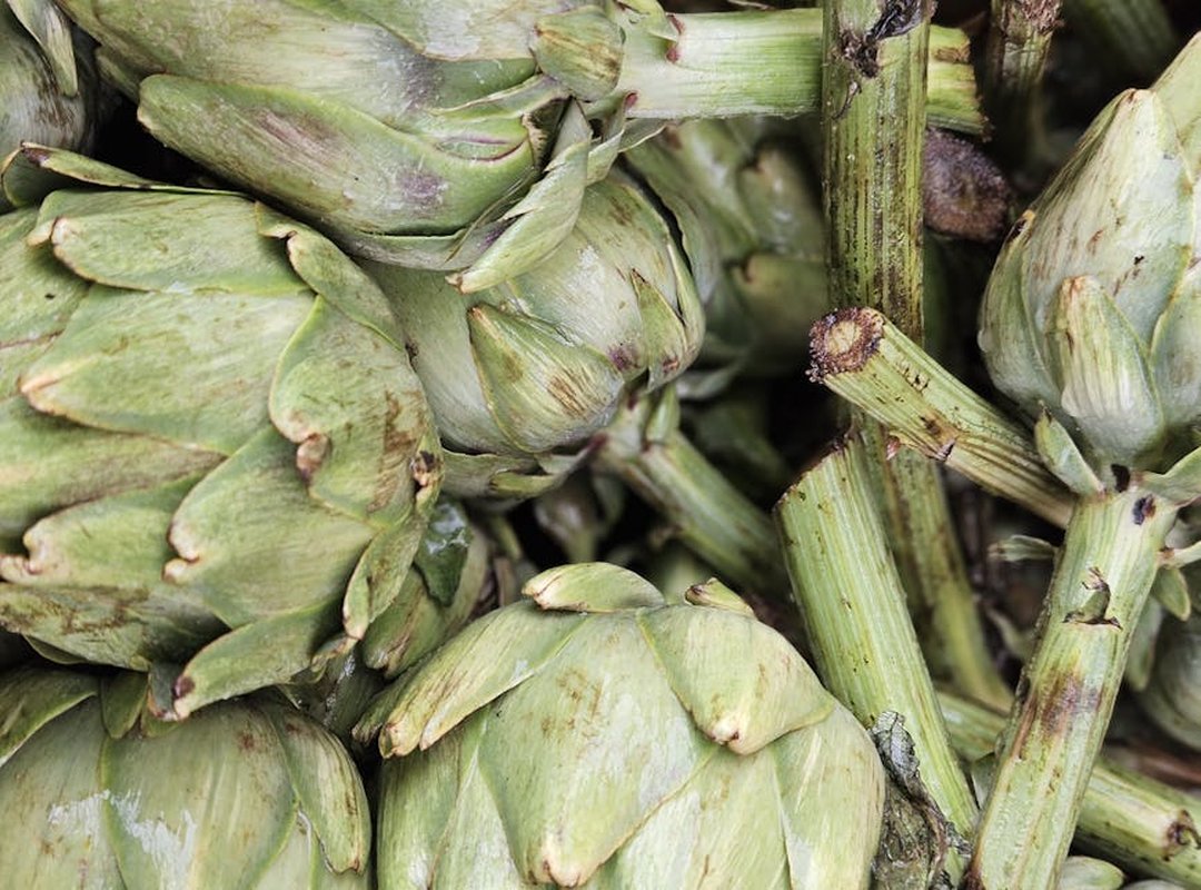 Exhibition Art Arcachdir