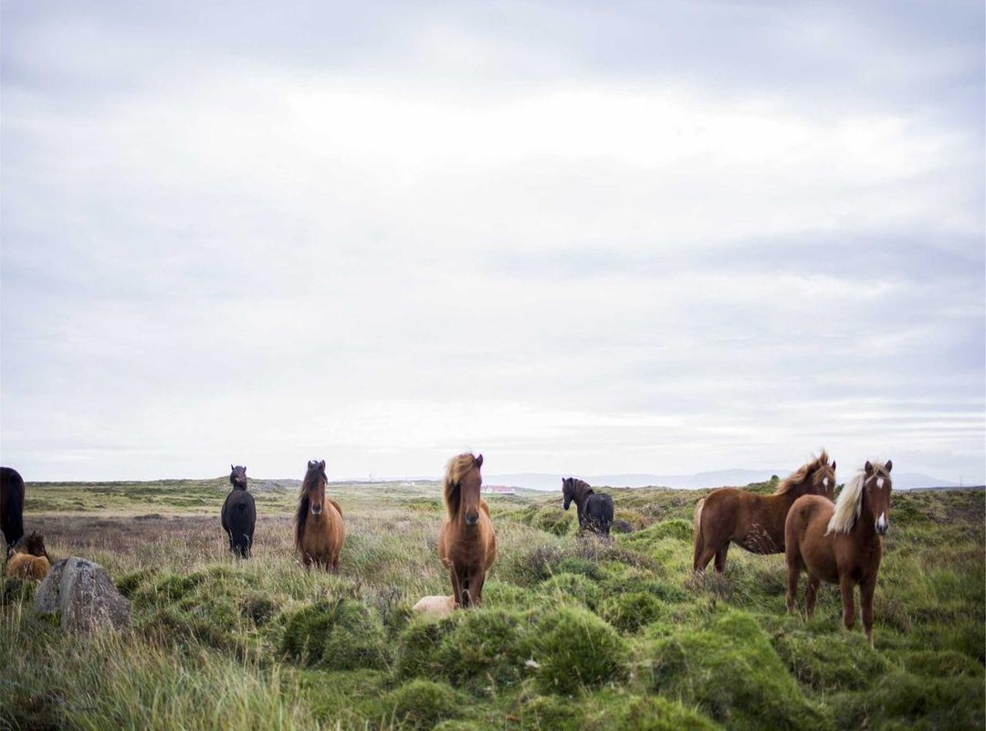 Common Scenarios: When You Will See a 2000 UF Price Tag