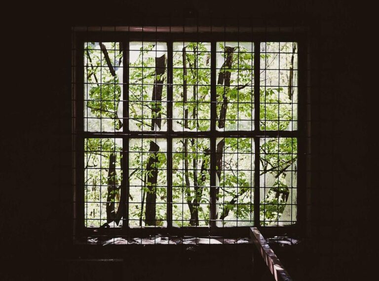 ane wa yan mama live action