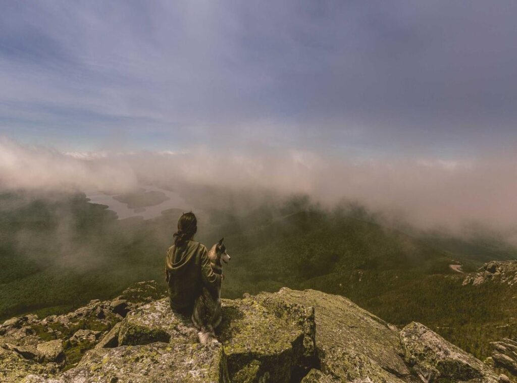 cheat ml hack damage 1 hit apk