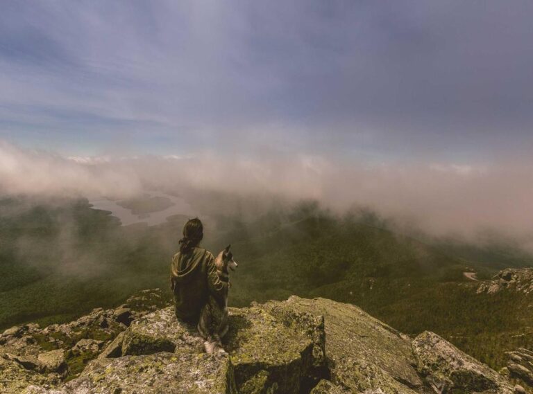 cheat ml hack damage 1 hit apk