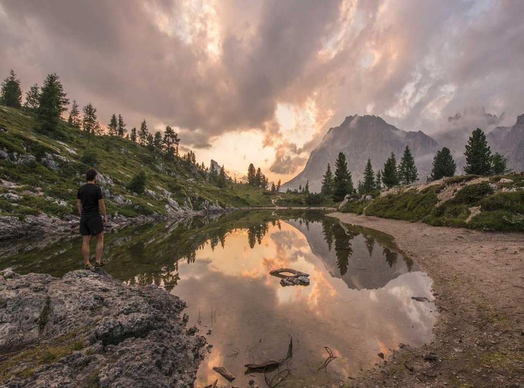 Using 'Pookie' in Conversation: Do's, Don'ts, and Examples