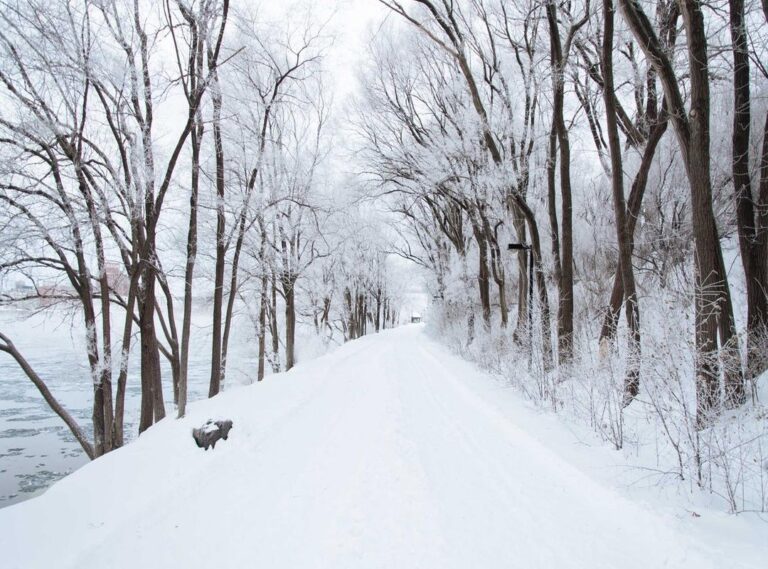 justin neely one day