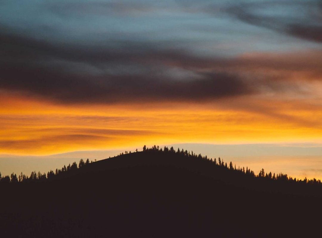 Frequently Asked Questions (FAQs) About Lina Lardi Joven