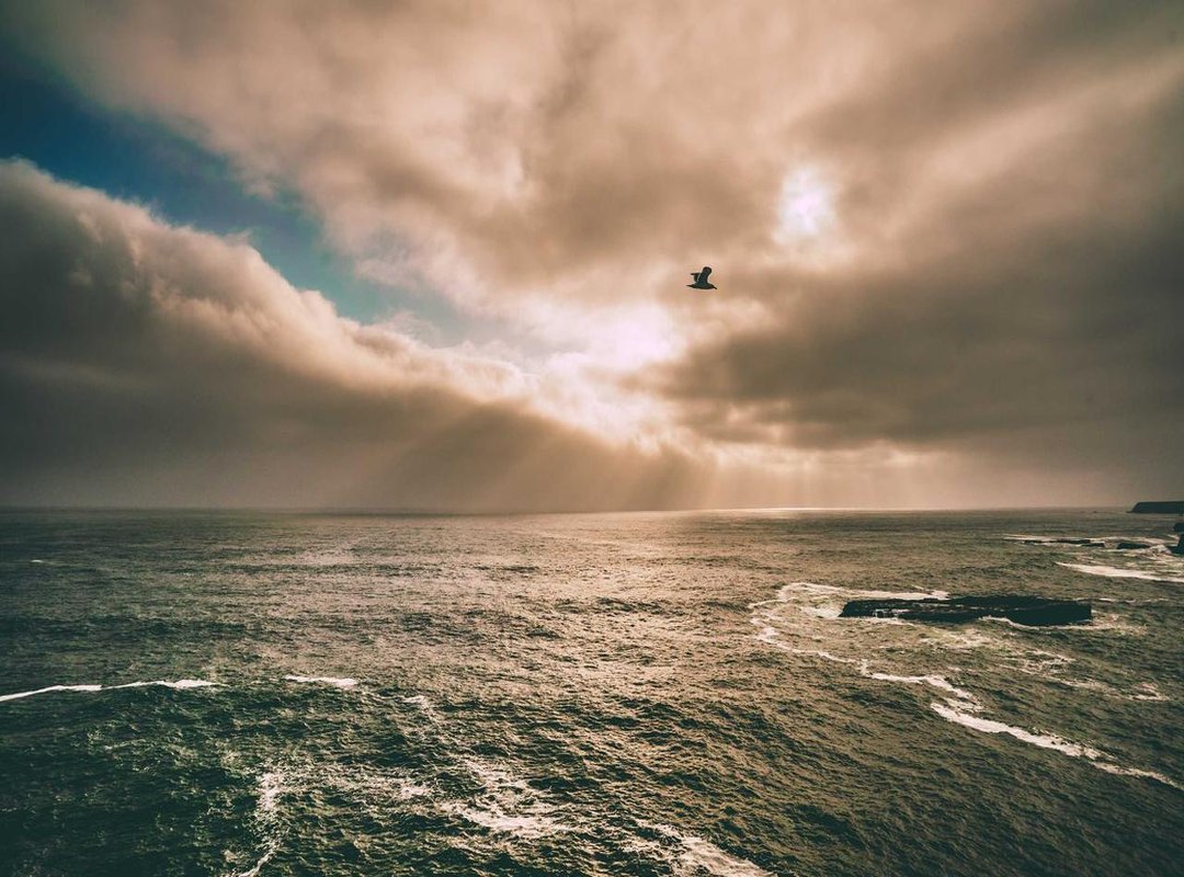 Smarter Alternatives: Where to Find Vetted Canberra Massage Therapists