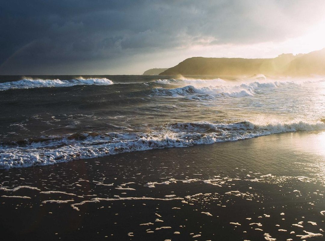 The War for the Dutton Legacy: Loyalty vs. Ambition