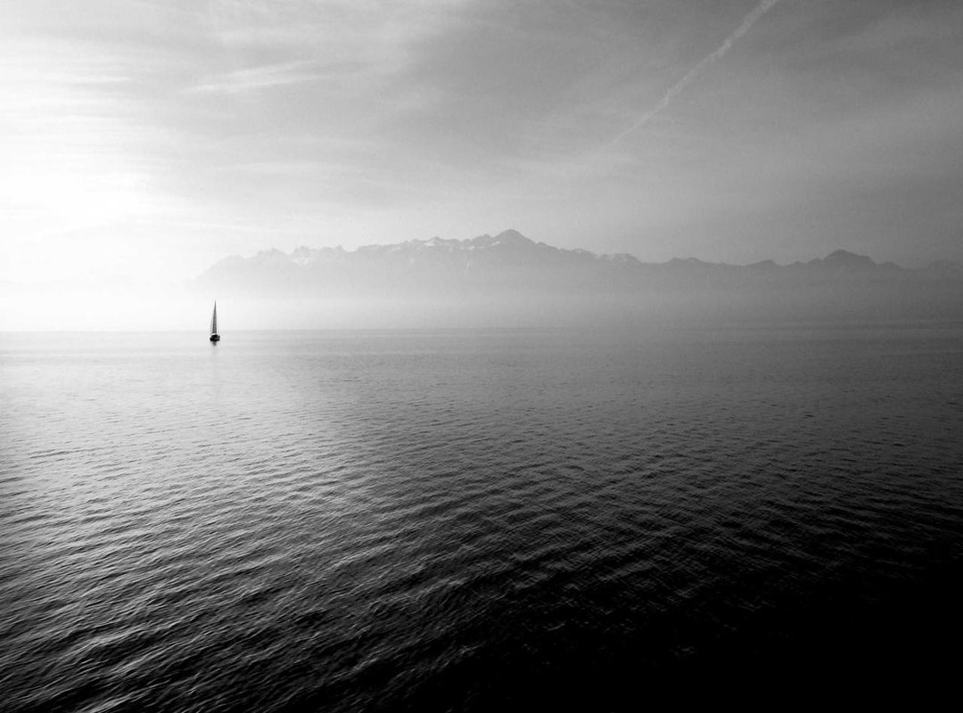 Choosing and Cropping Your Picture for a Perfect WhatsApp DP