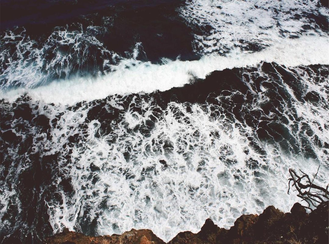 Decoding Manga: Common Genres and Target Audiences