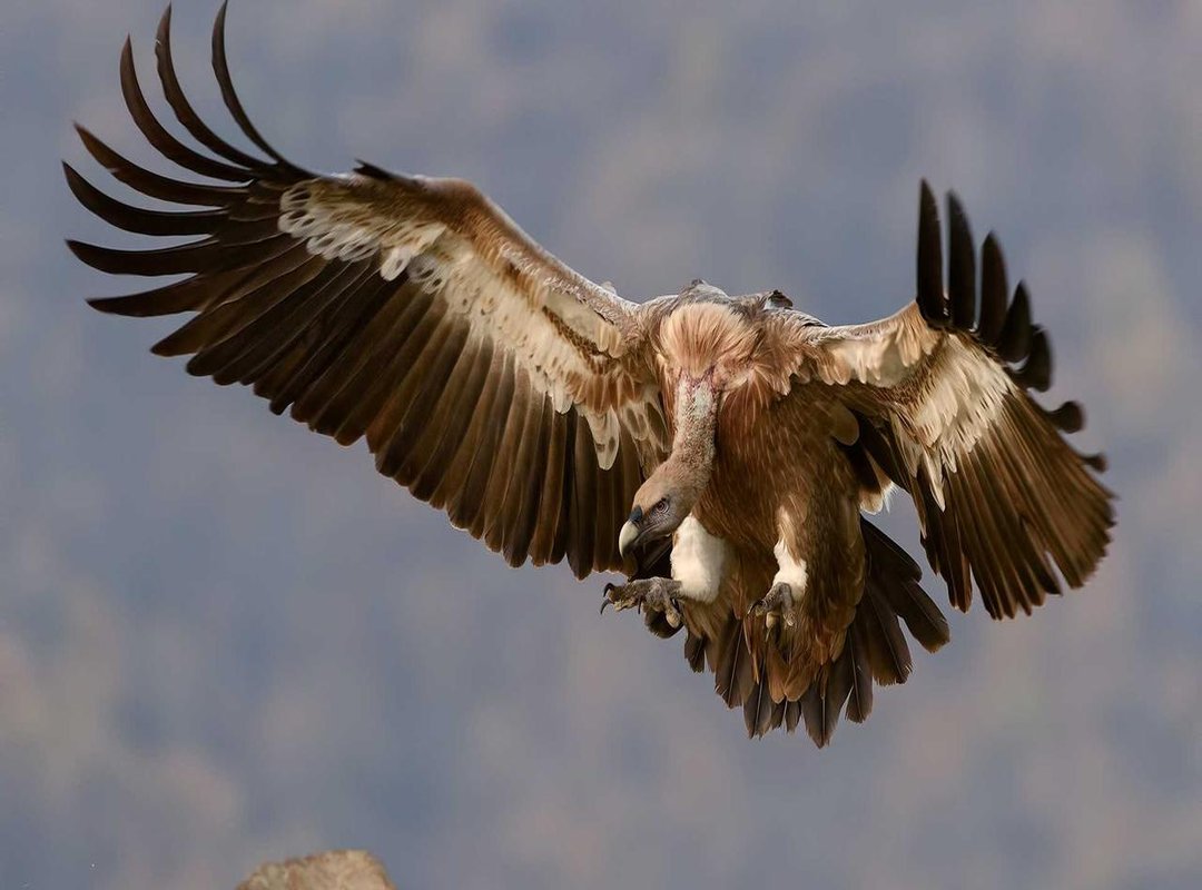 Looking Ahead: Potential Impact on His Public Life