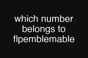 which number belongs to flpemblemable